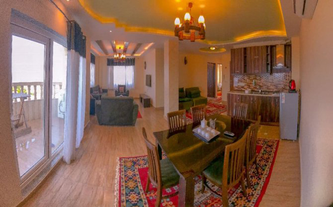 نخل بندرانزلی